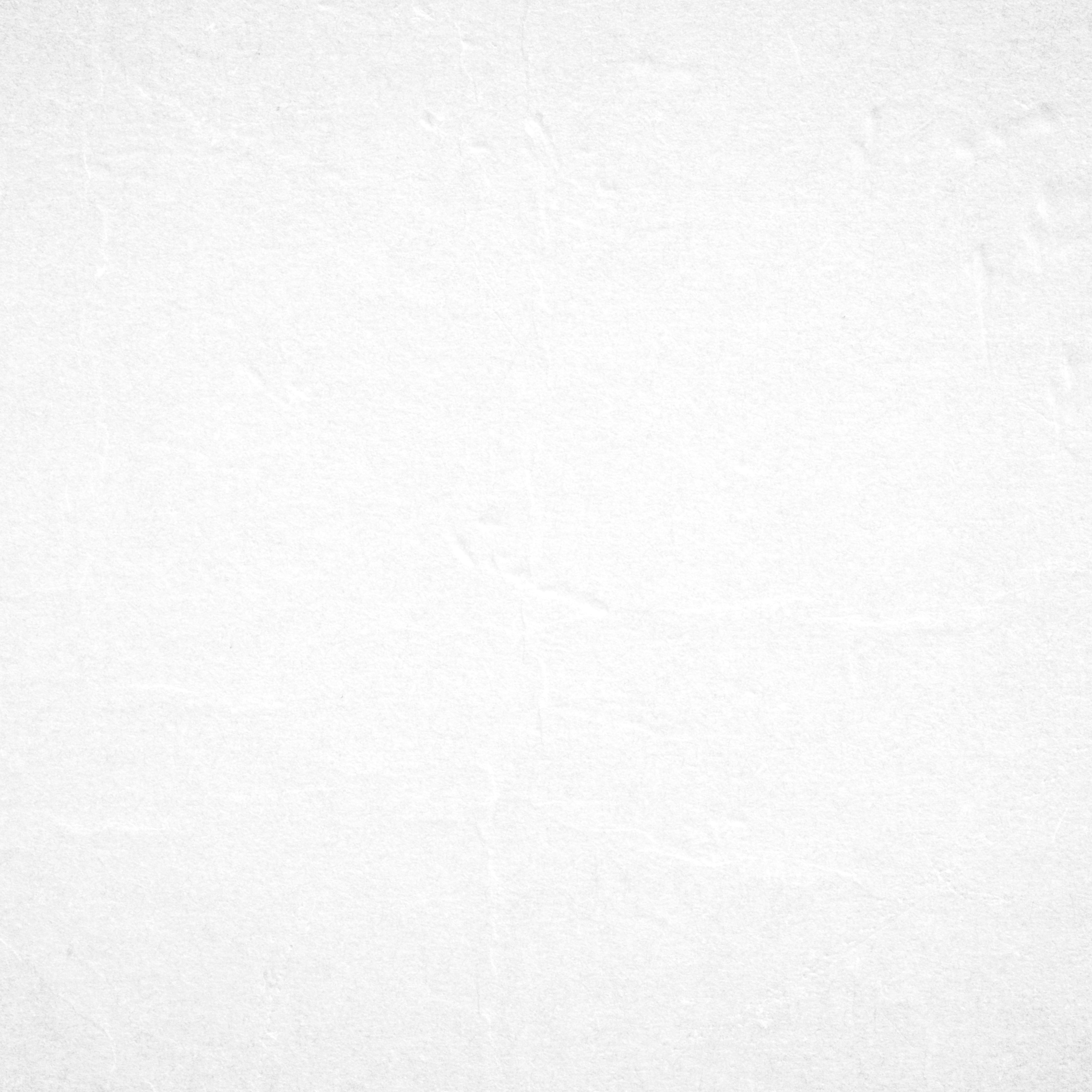 White paper background.